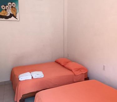 Coacoyul House | Discover BM Zihua Casa de Huéspedes: Pool & Pet Friendly Stay