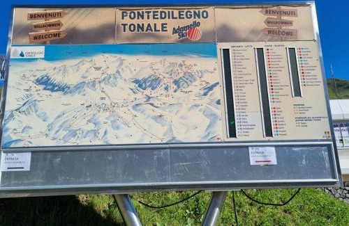 Passo del Tonale Apartment | Discover BMP Apartment Edelweiss: Family and Pet-Friendly Stay