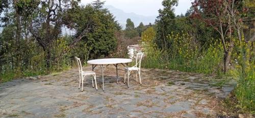 Jhultar Barkhet Hotel | Discover BN Resort: Pet-Friendly Stay with Family Amenities
