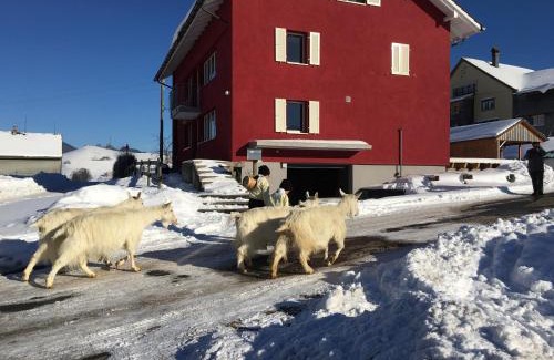 Hundwil Bed & Breakfast | Oceanfront Retreat at BnB chezlise - Rated 9/10 by Guests
