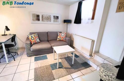 Plaisance-du-Touch Apartment | Discover Comfort at BNB Toulouse - Le Plaisant Maubec