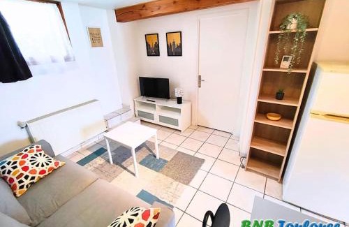 Plaisance-du-Touch Apartment | Discover Comfort at BNB Toulouse - Le Plaisant Maubec