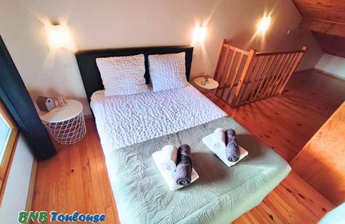Plaisance-du-Touch Apartment | Discover Comfort at BNB Toulouse - Le Plaisant Maubec