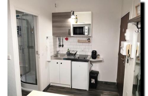 Up 1.5 Saint-Ferreol Apartment | Pet Friendly BnBesak Besancon Micropolis with Great Ratings