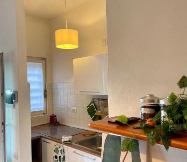 Villaggi Apartment | Pet-Friendly Bnbook Lago Maggiore Studio with Ocean View