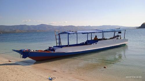 Riung Boat Rental | Boa Ende Boat Trip
