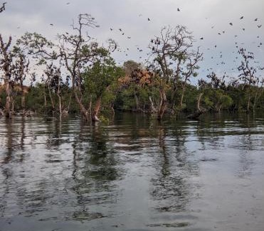 Riung Boat Rental | Family-Friendly Retreat at Boa Ende Trip Awaits You