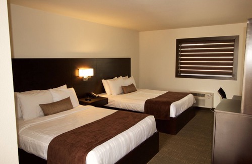 Syracuse Hotel | Discover Boarders Inn & Suites by Cobblestone Hotels