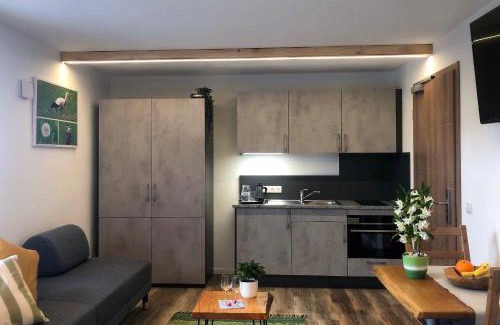Sulz Apartment | Discover Boardinghaus Kastlmühle: Family-Friendly Retreat