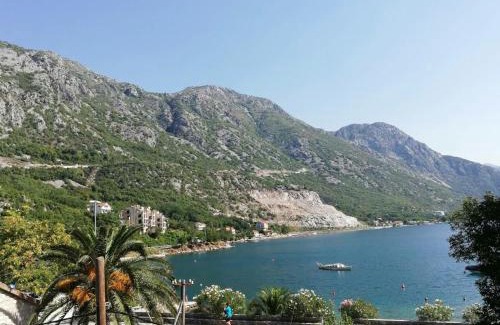 Morinj Apartment | Oceanfront Bobana Apartments with 9.8/10 Guest Rating