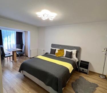 Turda Apartment | Cozy Boby’s Studio: Pet-Friendly with Free Parking