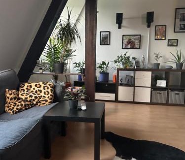 Auf den Holln Apartment | Pet-Friendly Bochumer Dachnest with Family Amenities