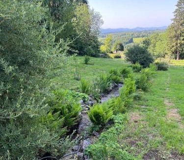 Rickenbach House | Pet-Friendly Bodea Alpenblick: Enjoy Hot Tub Bliss