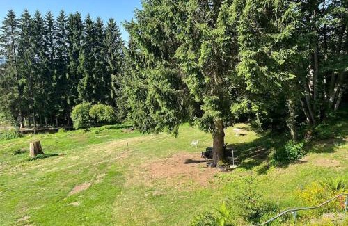 Rickenbach House | Pet-Friendly Bodea Alpenblick: Enjoy Hot Tub Bliss
