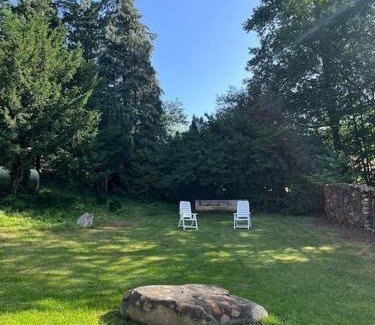 Rickenbach House | Pet-Friendly Bodea Alpenblick: Enjoy Hot Tub Bliss