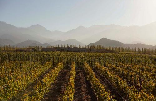 Vista Flores Cabin | Experience Bodega Alpasión Lodge and Glamping Retreat