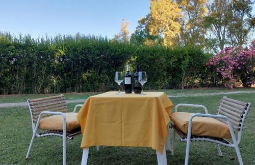Tinogasta Apartment | Family-Friendly Bodega y Alojamiento Don Vega Awaits You