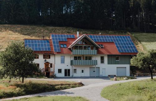 Neukirch Apartment | Oceanfront BodenSEE Apartment Neukirch with High Ratings