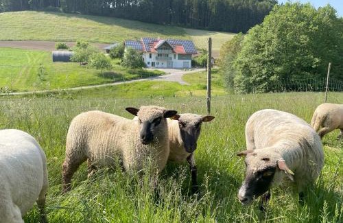 Neukirch Apartment | Family-Friendly BodenSEE Apartment in Neukirch Goppertsweiler