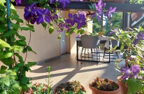 Gyula Apartment | Guest Rated 10/10: Bodza Apartman with Family-Friendly Amenities