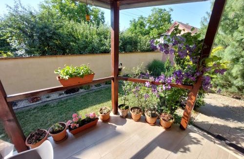 Gyula Apartment | Guest Rated 10/10: Bodza Apartman with Family-Friendly Amenities