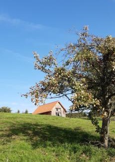 Bilzen House | Relax at Boerderaaj vakantiewoning: Pet-Friendly Retreat