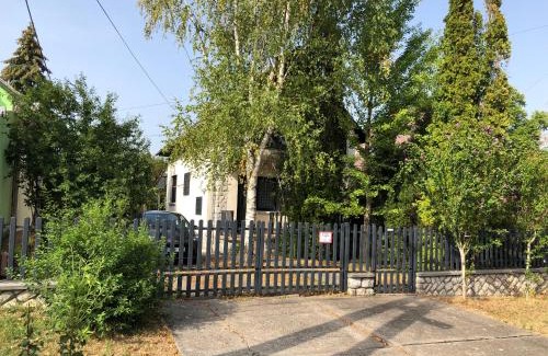 Bogacs House | Hizóczki Vendégház: 10/10 Rated, Pet-Friendly Retreat