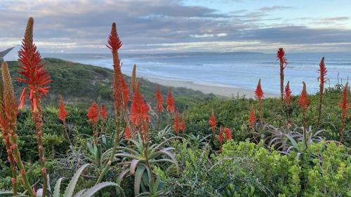 Boggoms Bay House | Unforgettable Boggoms' View: 4-Star Family & Pet Friendly