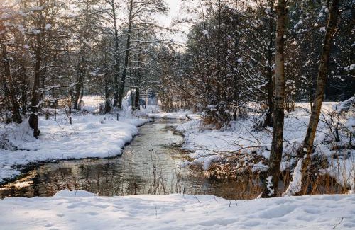 gmina Lipsk House | Experience Bohaterski Wypoczynek: Perfect for Families & Pets