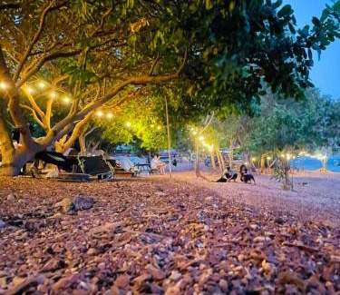 Vinh Cuu Other | Experience Nature at BOHO Glamping: Pet-Friendly Retreat
