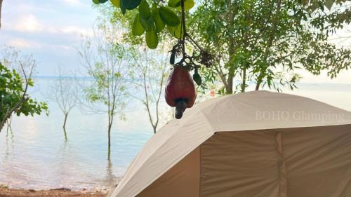 Vinh Cuu Other | Experience Nature at BOHO Glamping: Pet-Friendly Retreat