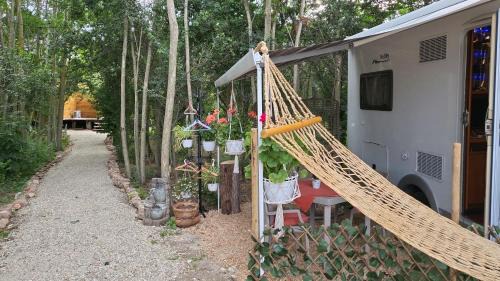 Pecineaga Other | Cozy Boho Marine with Oceanfront Views and Pet-Friendly Stays