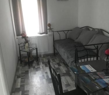 Fuzine Apartment | Explore Bolkovac Apartman: Pet-Friendly Retreat in Fužine