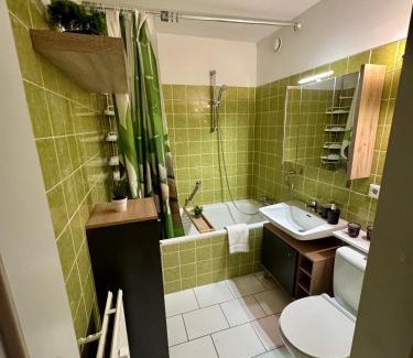 Klosterreichenbach Apartment | Bollenhut