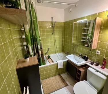 Klosterreichenbach Apartment | Bollenhut
