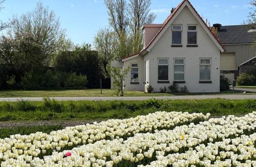 Breezand House | Bollenzicht