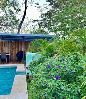 Canton Hojancha Villa | Discover Bongo's Lodge: Oceanfront Retreat for Families