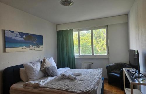 Lausanne Apartment | Bonito apartamento vacacional1