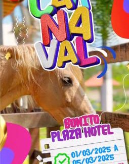Bonito Hotel | Bonito Plaza Hotel: Oceanfront Oasis with Pool & Great Ratings