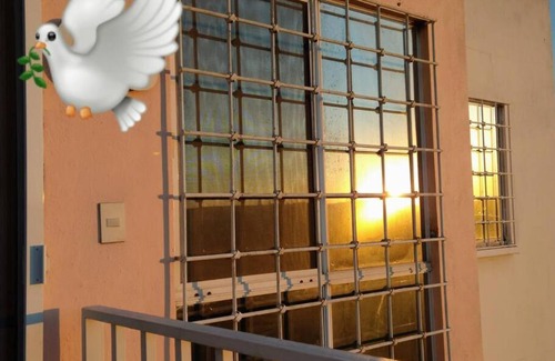 Queretaro Apartment | Modern & Stylish Apartment in Queretaro with Great Amenities