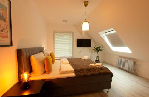 Loerrach Apartment | Exceptional Bonnystay Lörrach Designer Apartment with Spa