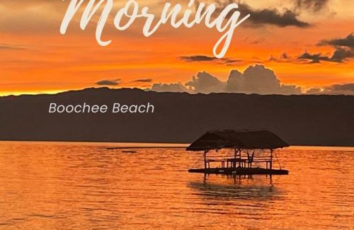 San Jose Resort | Cozy Boochee Beach: Pet-Friendly Getaway with Ocean Views