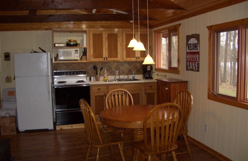 Brainerd Cabin | Enjoy Miller Lake: Cozy Cabin with Pool & Stunning Views
