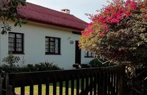 Nature's Valley Apartment | Explore Comfort at Bookings By Oupa Daan - 4 Star Stay
