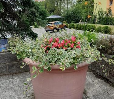 Chomutov Apartment | Family-Friendly Bordó Apartmán A4 in Chomutově - 9.3/10