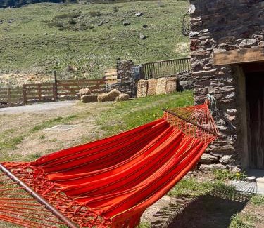 Soldeu Ski Chalet | Relaxing Borda Martí Chalet in Vall d'Incles, Pet Friendly