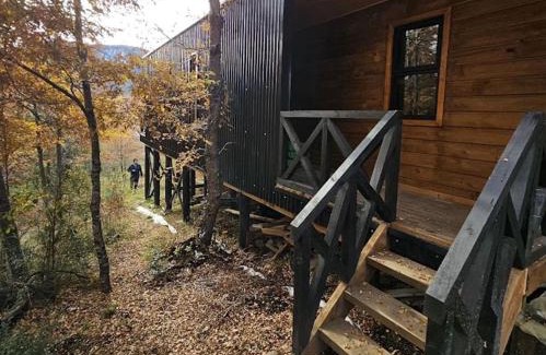 Malalcahuello Ski Chalet | Pet-Friendly BordeArroyo Malalcahuello with Hot Tub Amenities