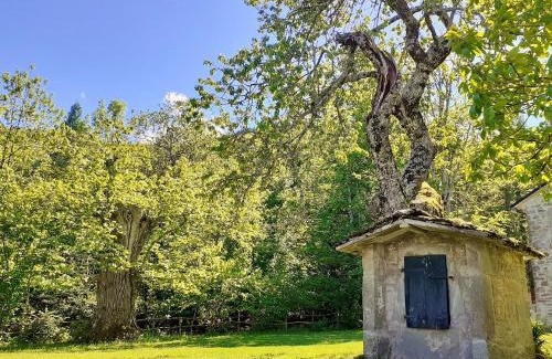 Porretta Terme House | Discover Borgo Castelluccio Country House: Pet-Friendly Retreat
