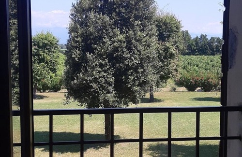 San Benedetto di Lugana House | Discover Comfort at Borgo San Donino - Selva Capuzza