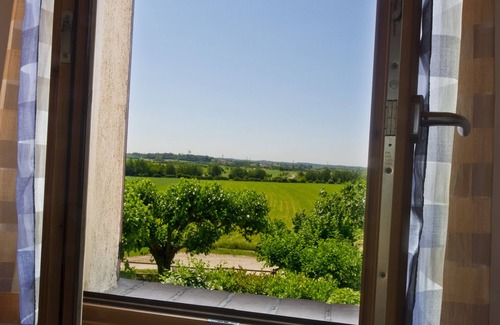 San Benedetto di Lugana House | Discover Comfort at Borgo San Donino - Selva Capuzza